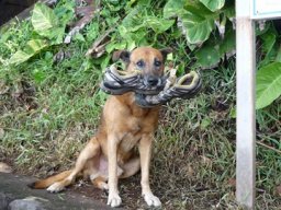 Visite de la petite cousine !